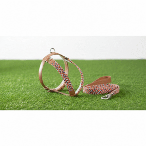 Combo Arnés + Correa Amareto